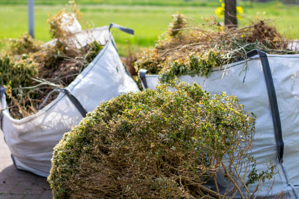 Best Professional Junk Removal  in Essex, IL